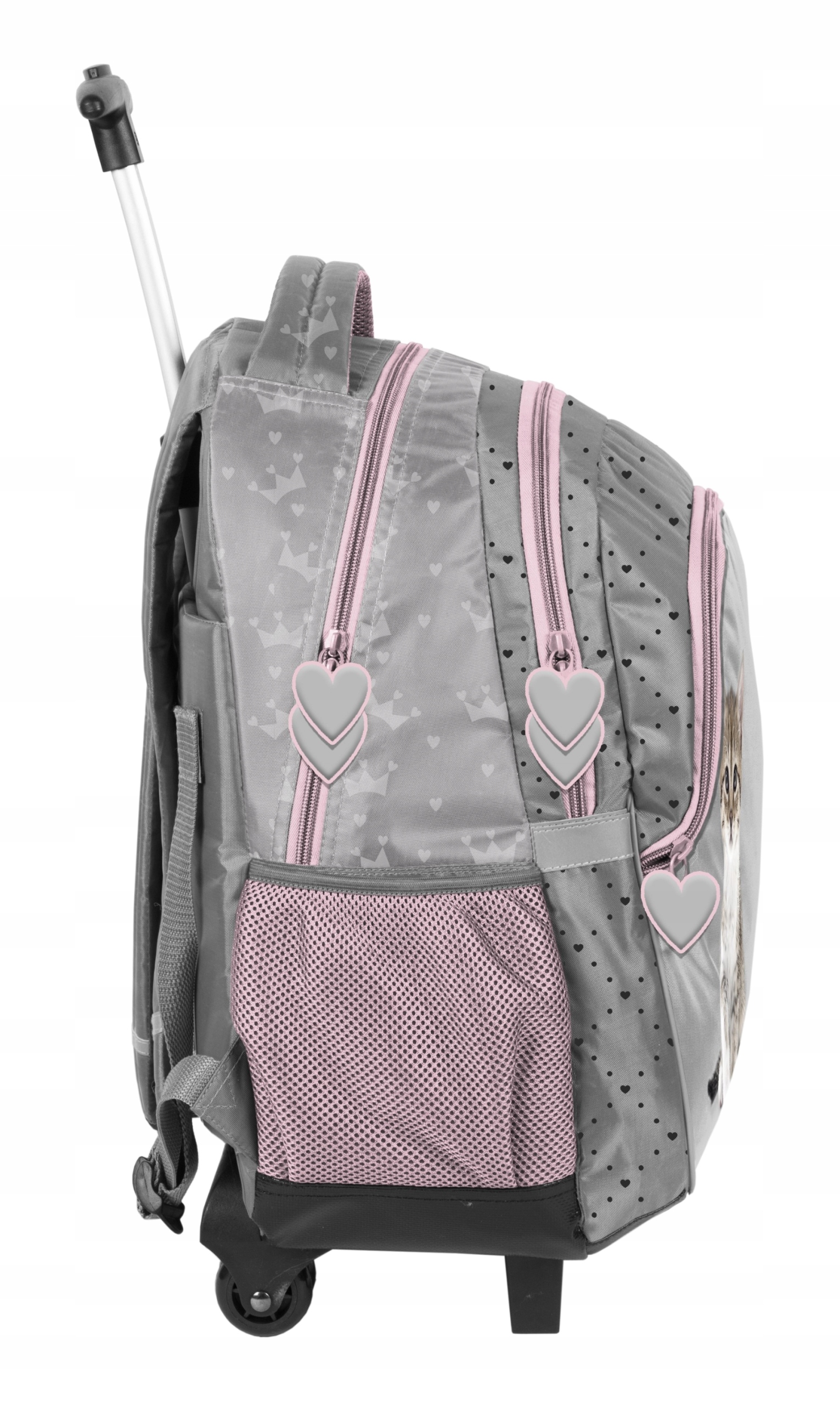 Шкільний рюкзак на колесах для дівчинки бренду Paso