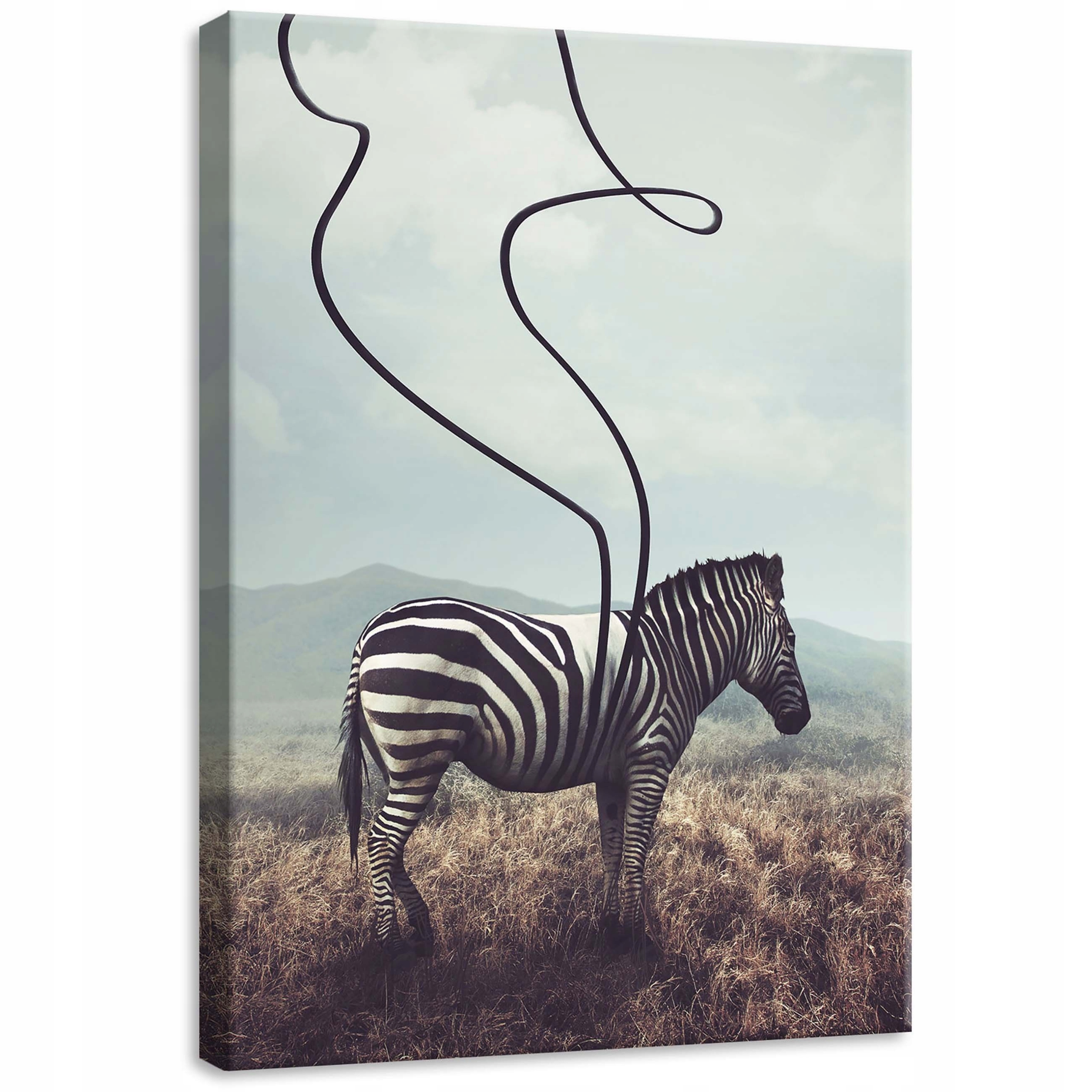 Obraz 50x70 Zebra černobílé pruhy abstrakce surrealismus klid umění