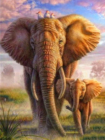 Mozaika diamantová malba