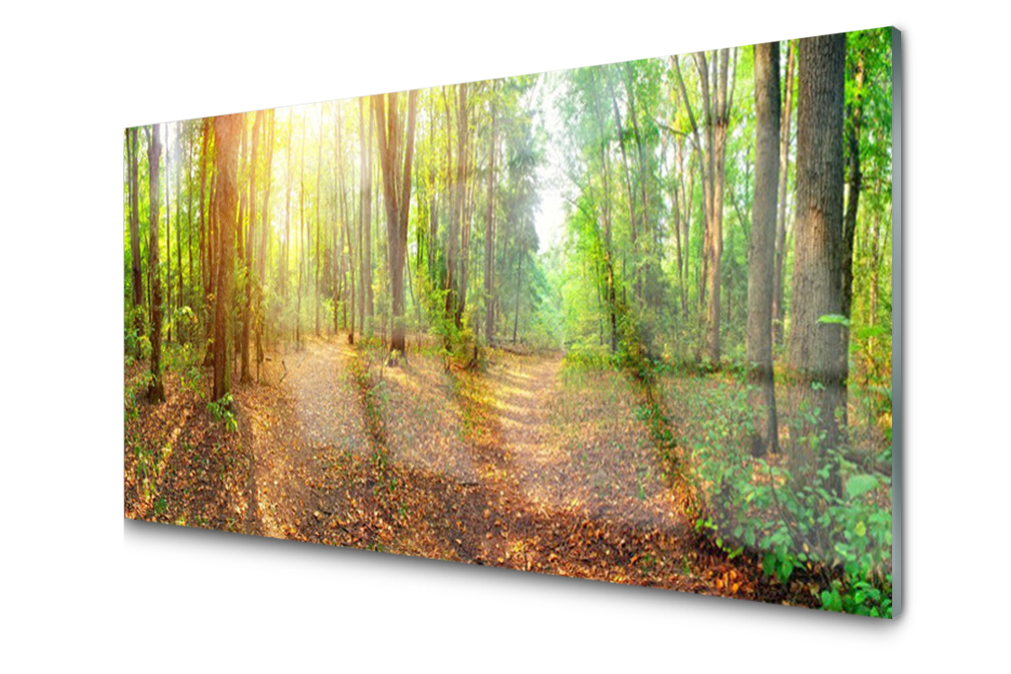 

Panel szklany Płytka Słońce Ścieżka Las 100x50