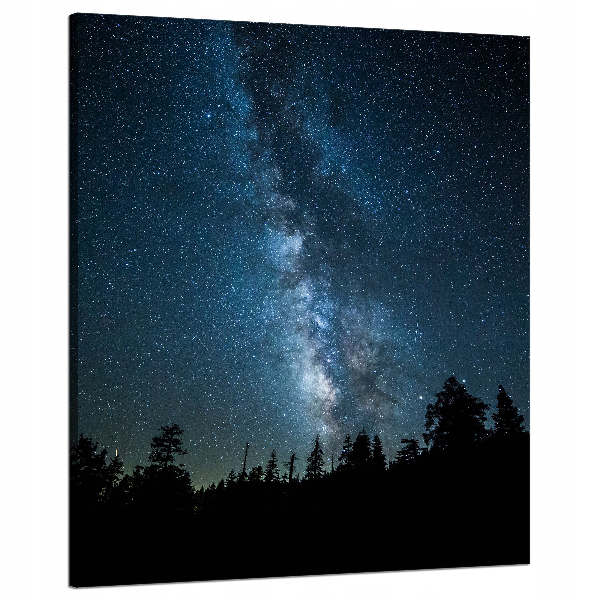 Obraz na plátně Vesmír Noc Les Mlhovina Příroda Astronomie 80x100
