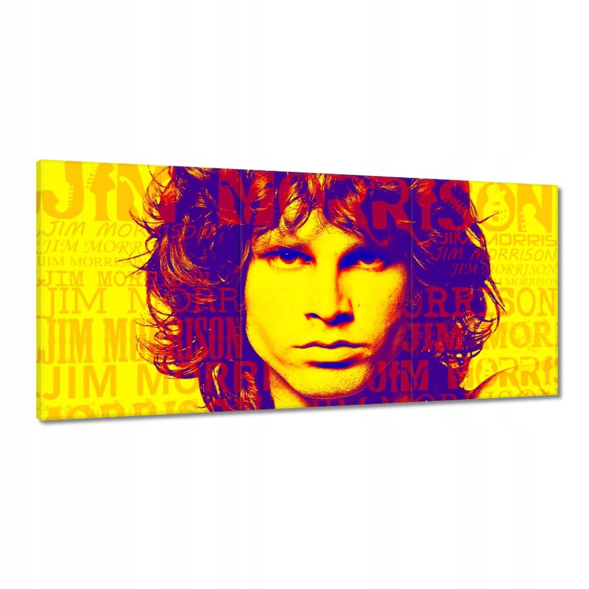 Obrazy 210x100 The Doors