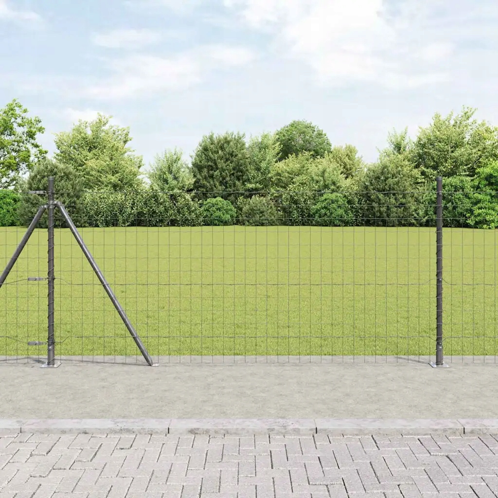 Plot s příspěvky Šedá 0.8 x 25 m Ocel Šedá 3350976