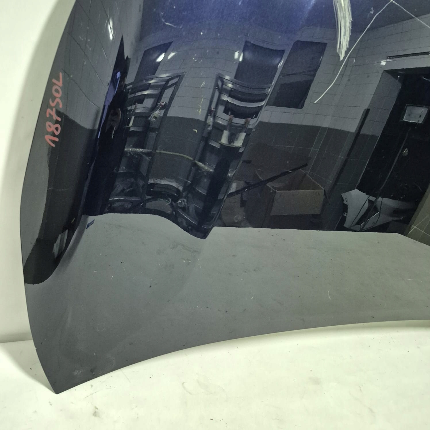 SUZUKI SWACE 20- bonnet