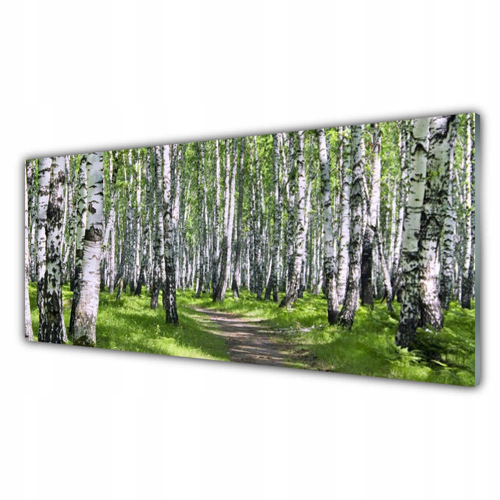 

Fotoobraz akryl 125x50 Las Ścieżka Natura Drzewa