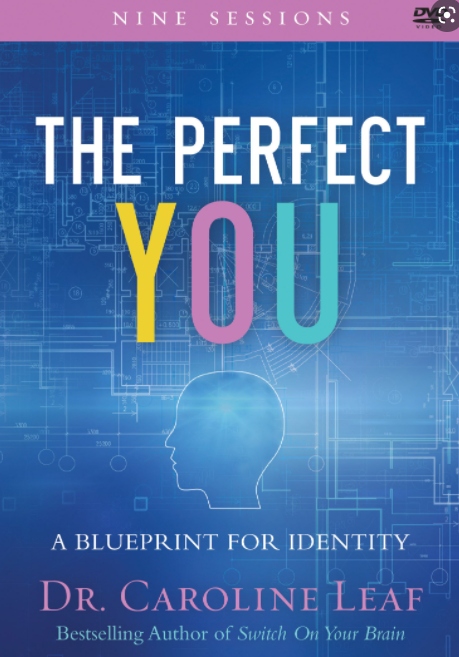 Książka The Perfect You : A Blueprint for Identity
