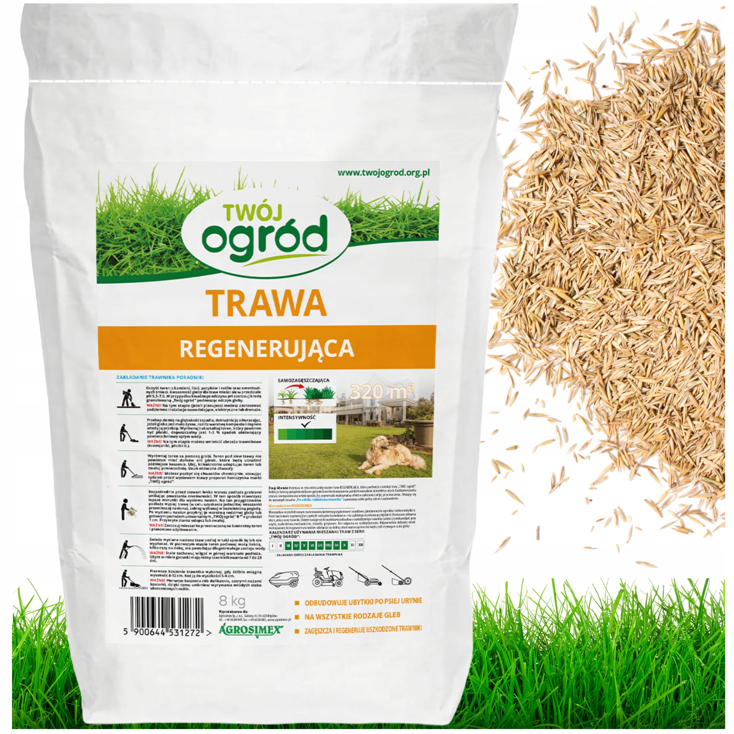 NASIONA TRAWA RENOWACYJNA REGENERACYJNA ODBUDOWA SAMOZAGĘSZCZAJĄCA 8KG 320m