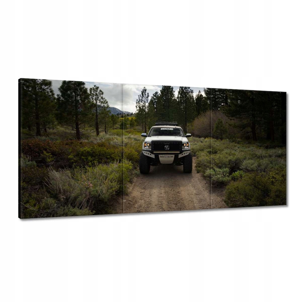 Obrazy 120x60 Off Road Terénní auto