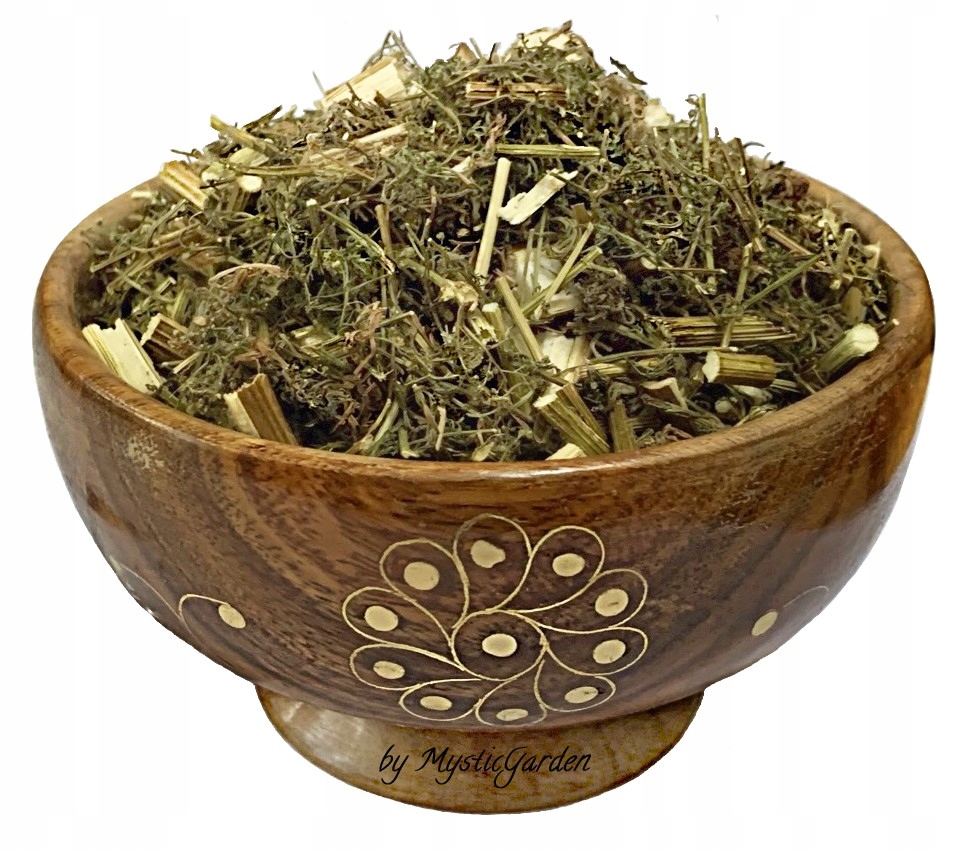 Bylina roční (Artemisia annua) řezaná bylina sušená Premium Mystic.Garden 1 kg