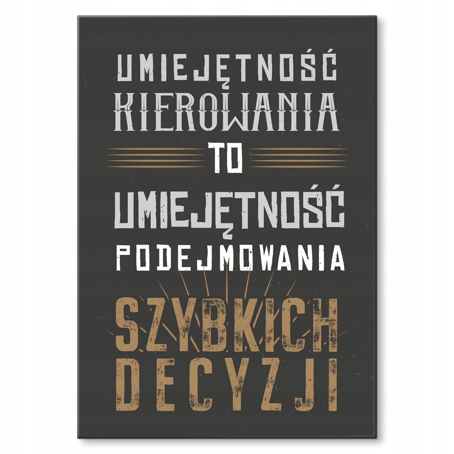 Kovový plakát Schopnost řízení Dárek 42 x 59 cm