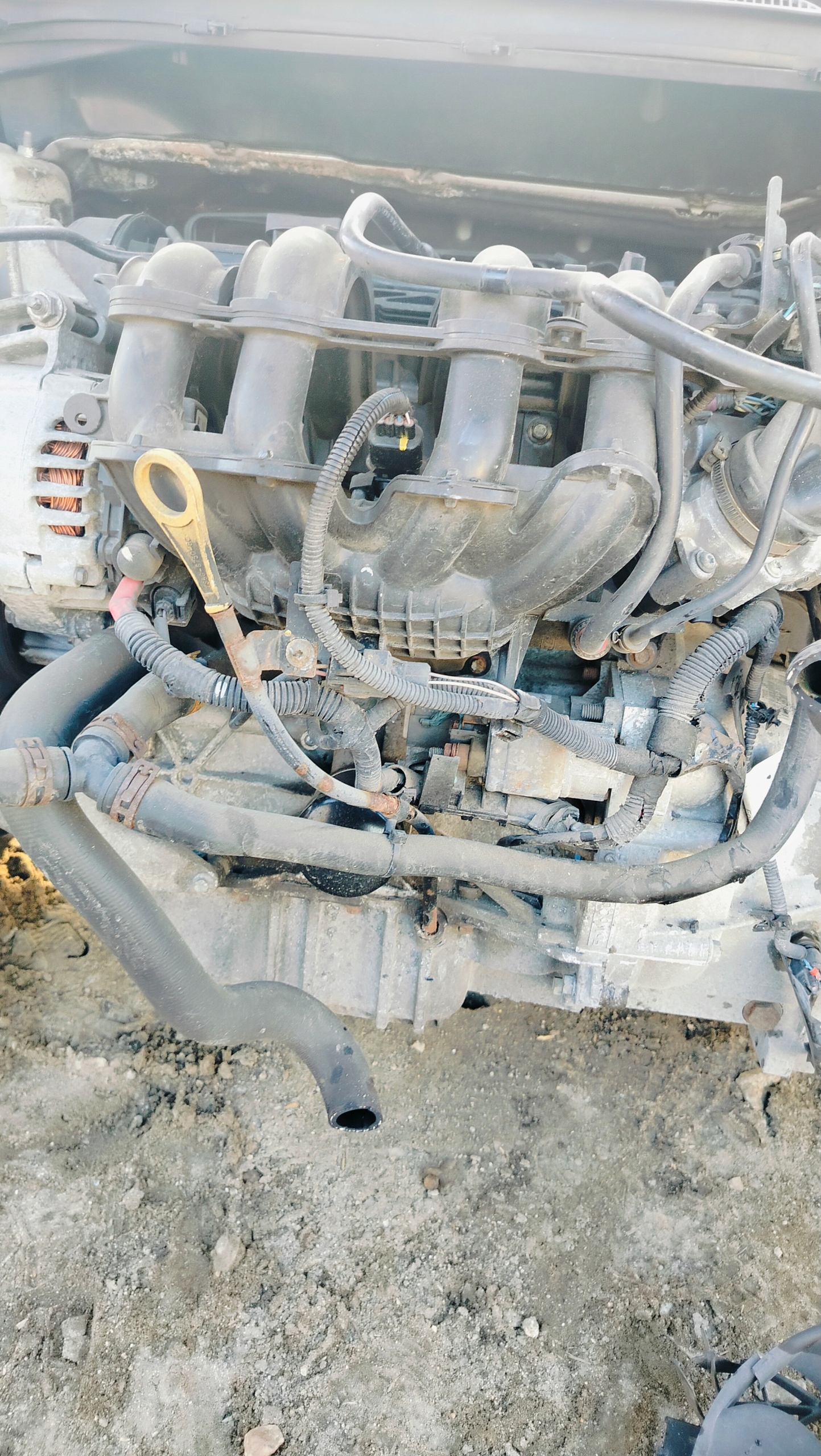 engine STJB FORD FIESTA MK7 1.25 16V