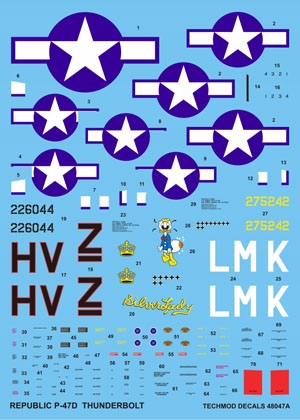 1:48 Kalkomania P-47D Thunderbolt TECHMOD 48047