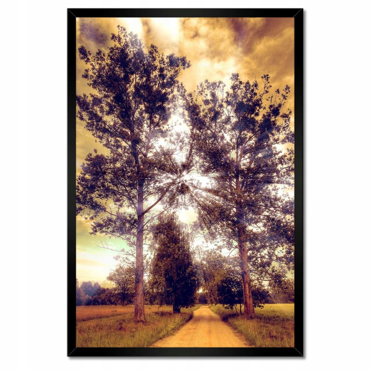 Plakáty v rámu 40x60 Venkovská krajina s cestou