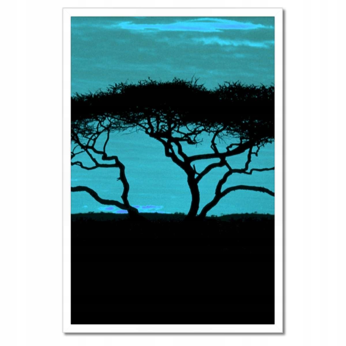 Plakáty v rámu 40x60 Akácie na savaně