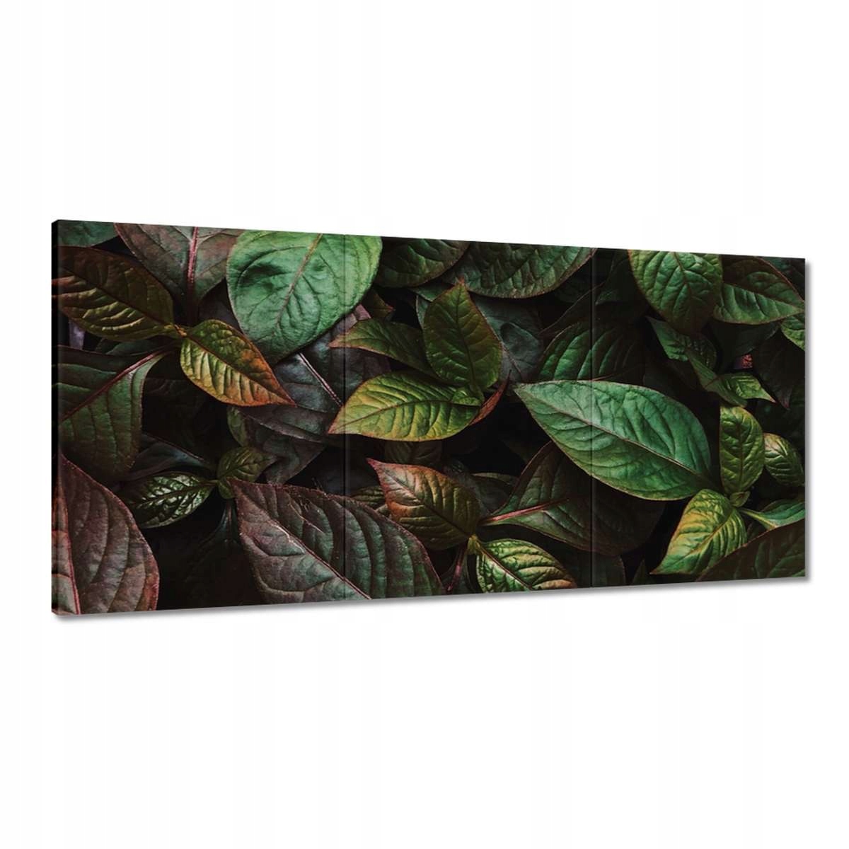 Obrazy 180x90 Tropické listy Listy