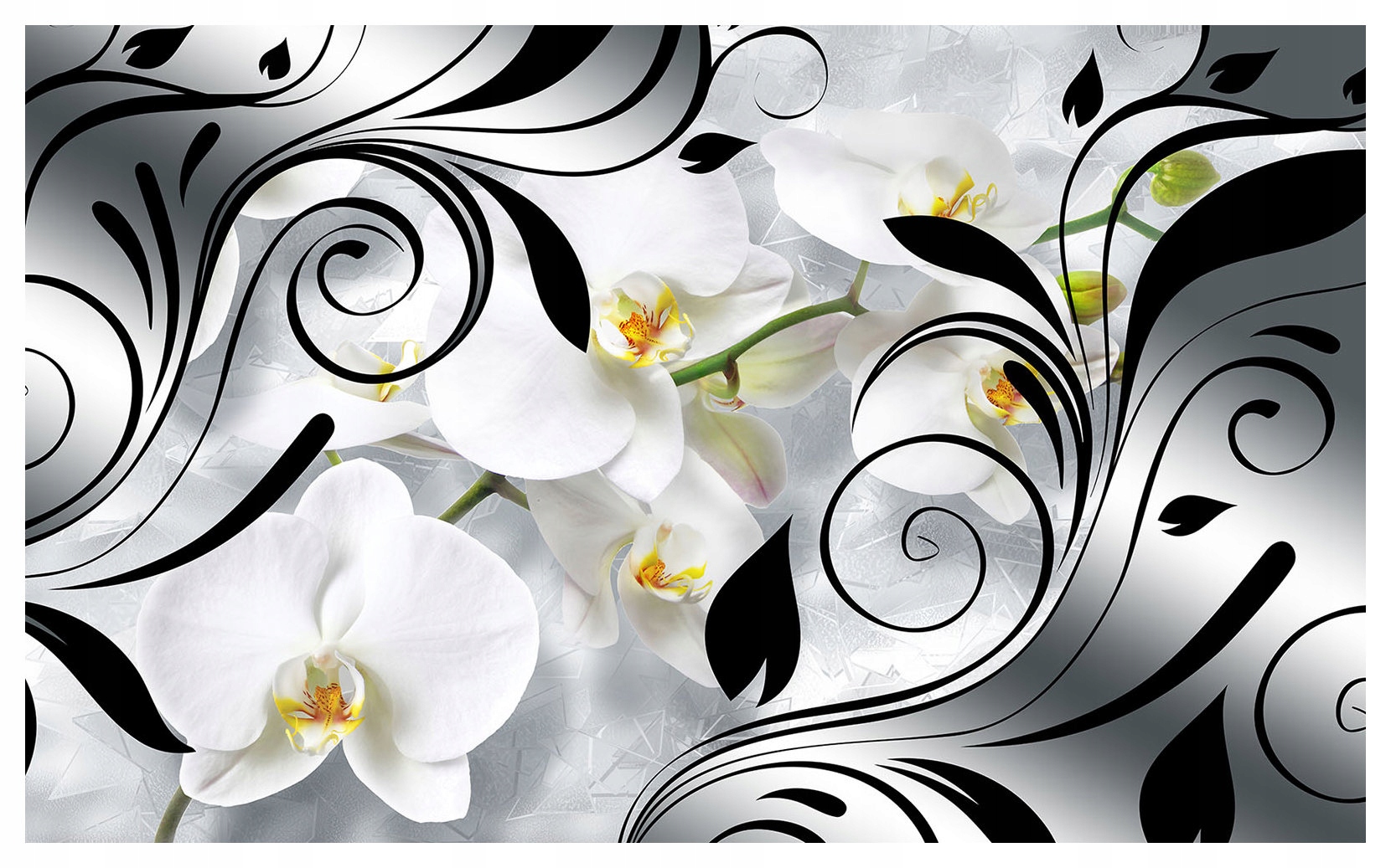 Fototapeta Orchideje šedo-bílé pozadí moderní design 368x254 lepidlo