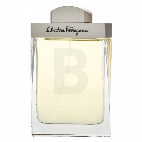 Salvatore Ferragamo Pour Homme toaletní voda pro muže 100 ml