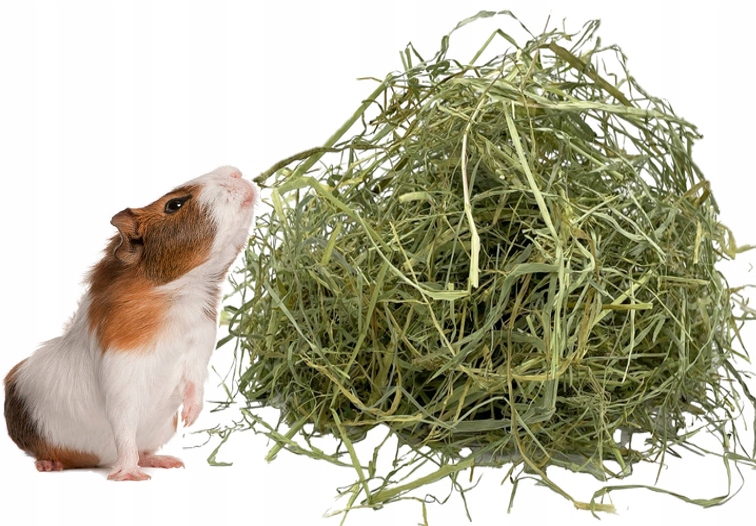 Levně Dobré čerstvé seno pro domácí morče 10 kg krmivo z trav pokos