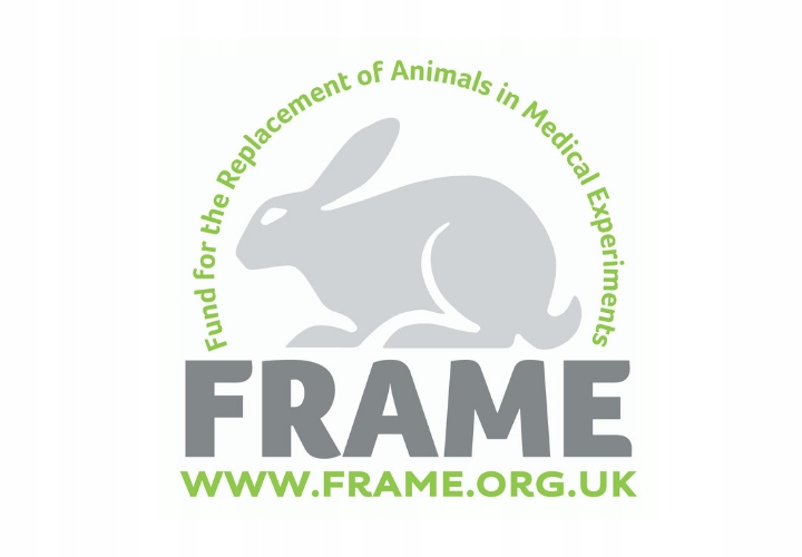 Avon Imari Eclipse 50ml 43711 Marka Avon