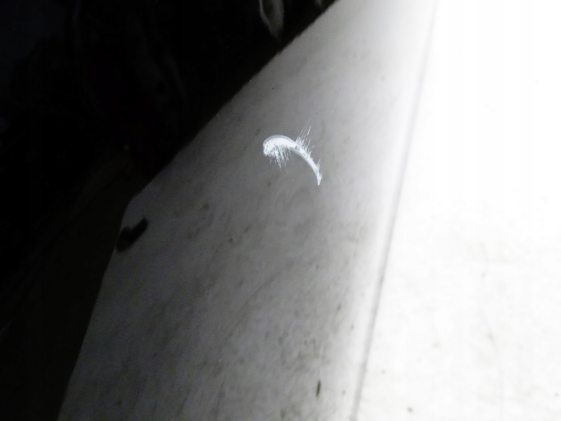 door front left front 197 MERCEDES CLS W257