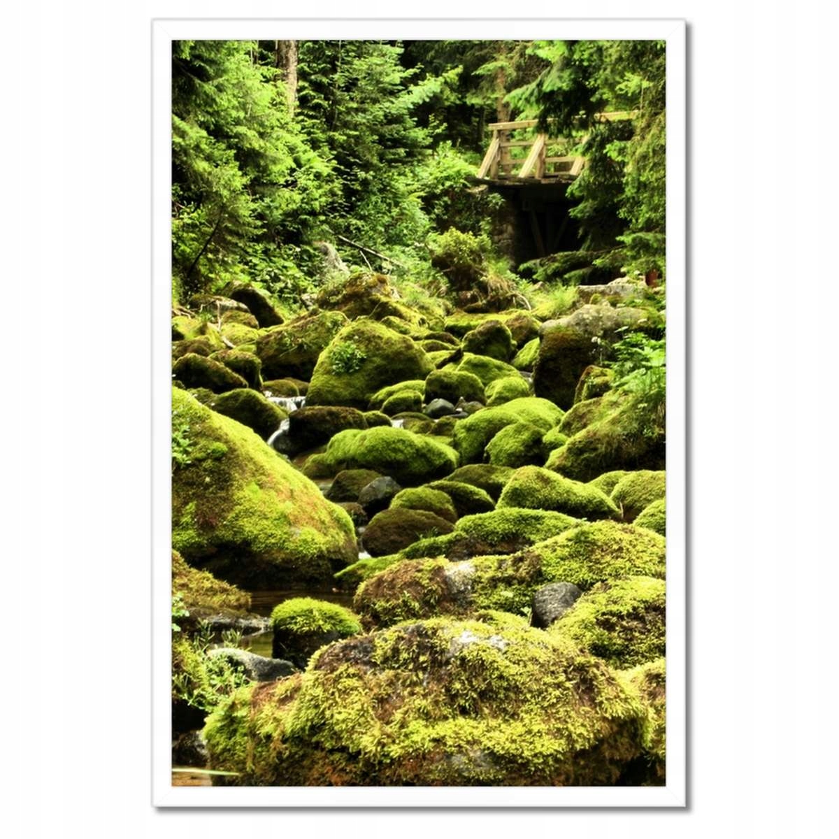 Plakáty v rámu 40x60 Tatry Polské hory Pohled