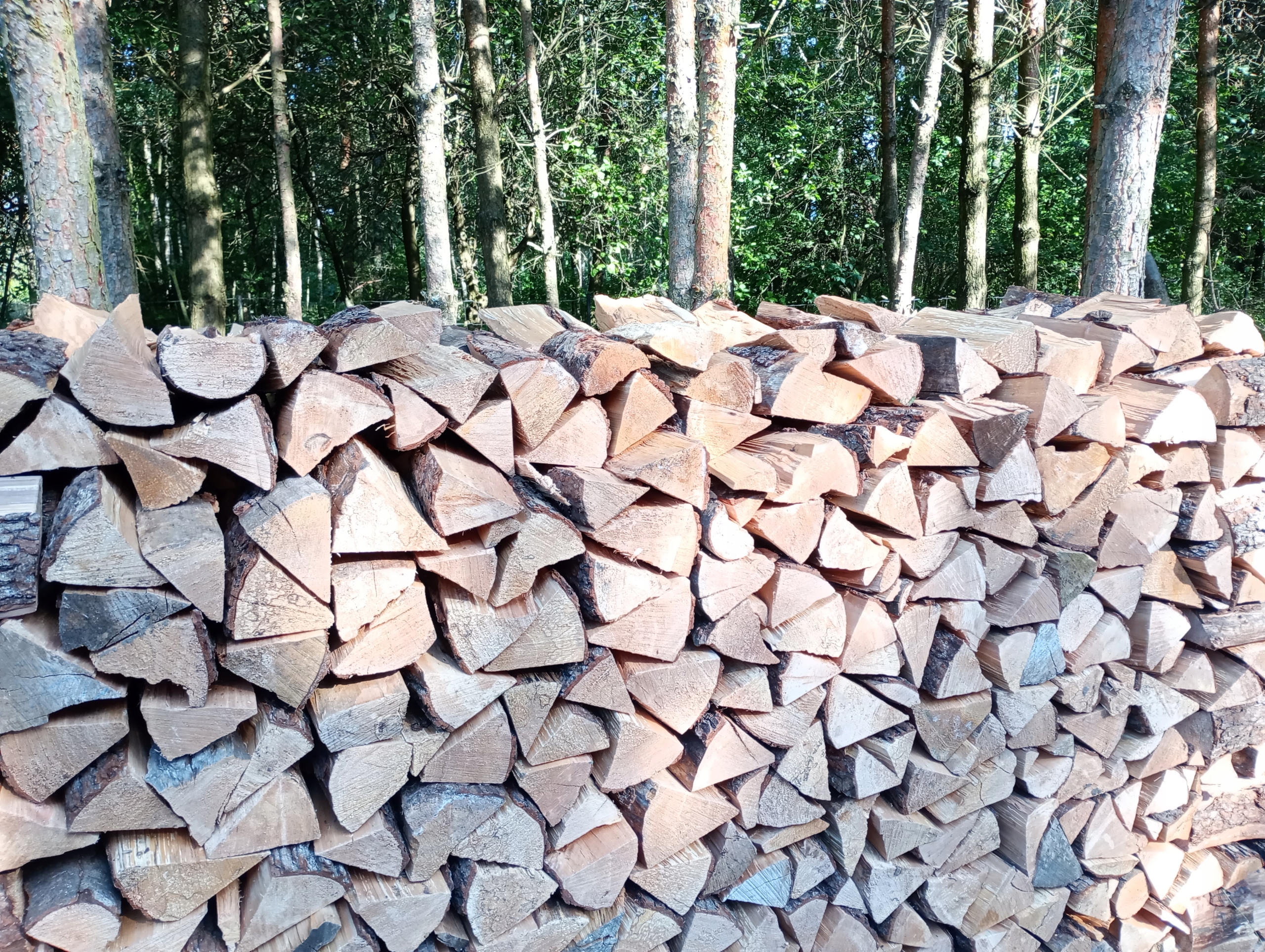 Drewno do wędzenia na ognisko 1 kg kominkowe OLCHA OLSZYNA Stan opakowania oryginalne