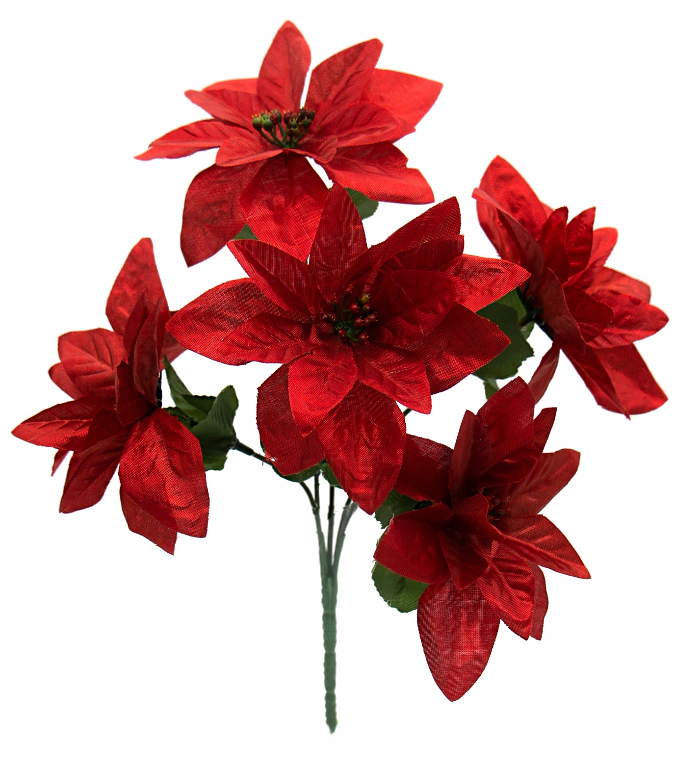 

Gwiazda Betlejemska Bukiet Poinsecja Czerwona 30cm