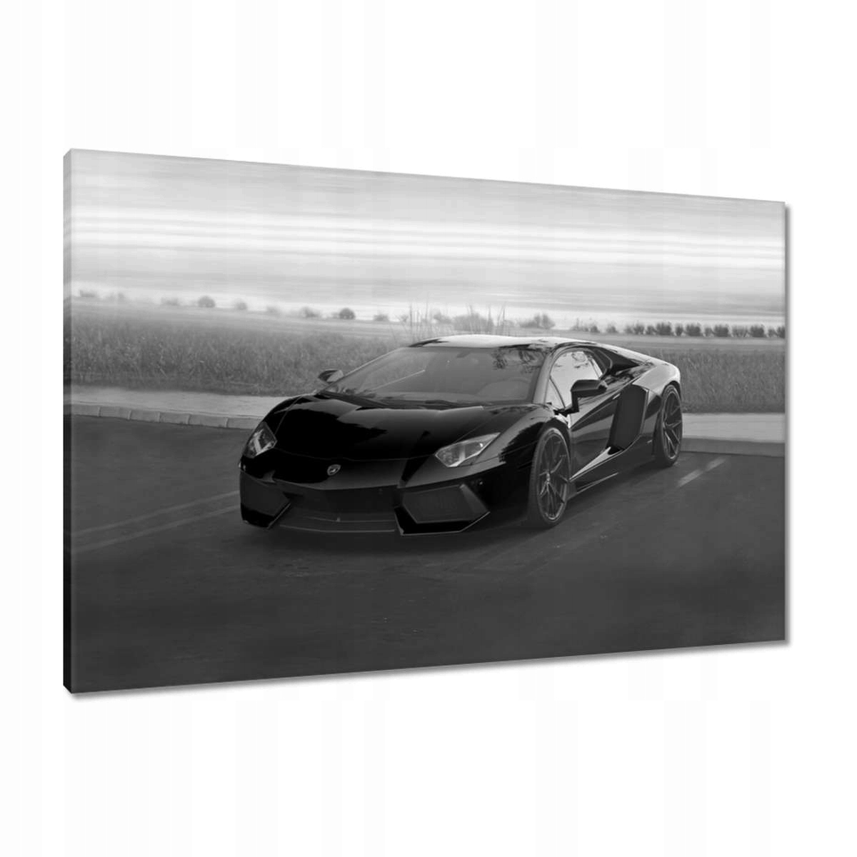 Obrazy 90x60 Sporotwe auto