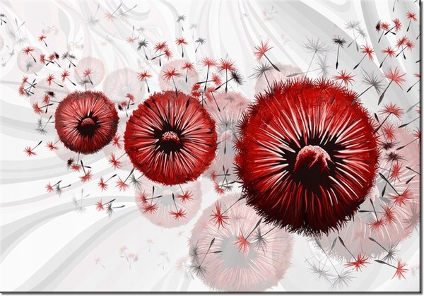 100 70cm Obraz płótno Czerwone dmuchawce 6 płótno rama