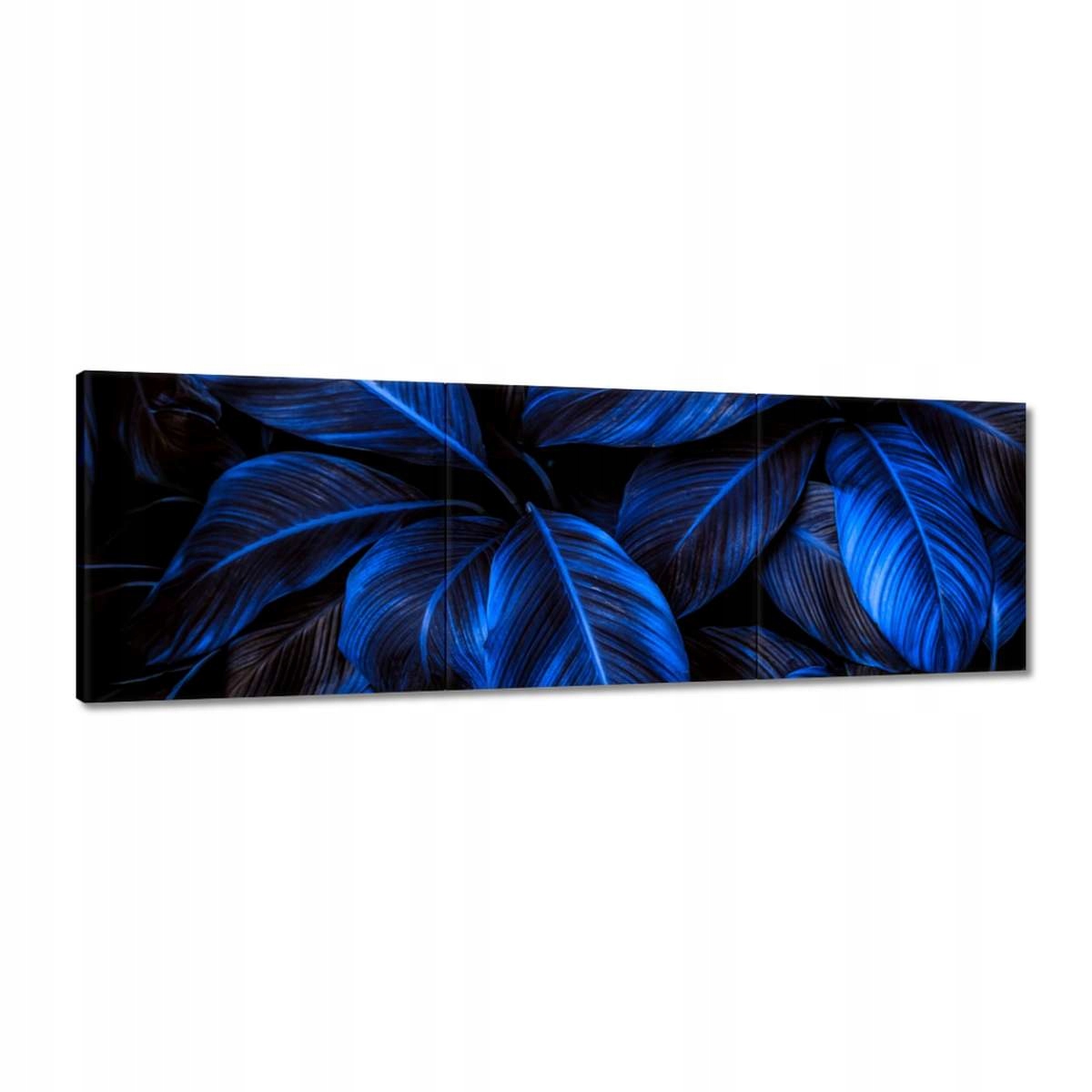 Obrazy 150x50 Modré listy
