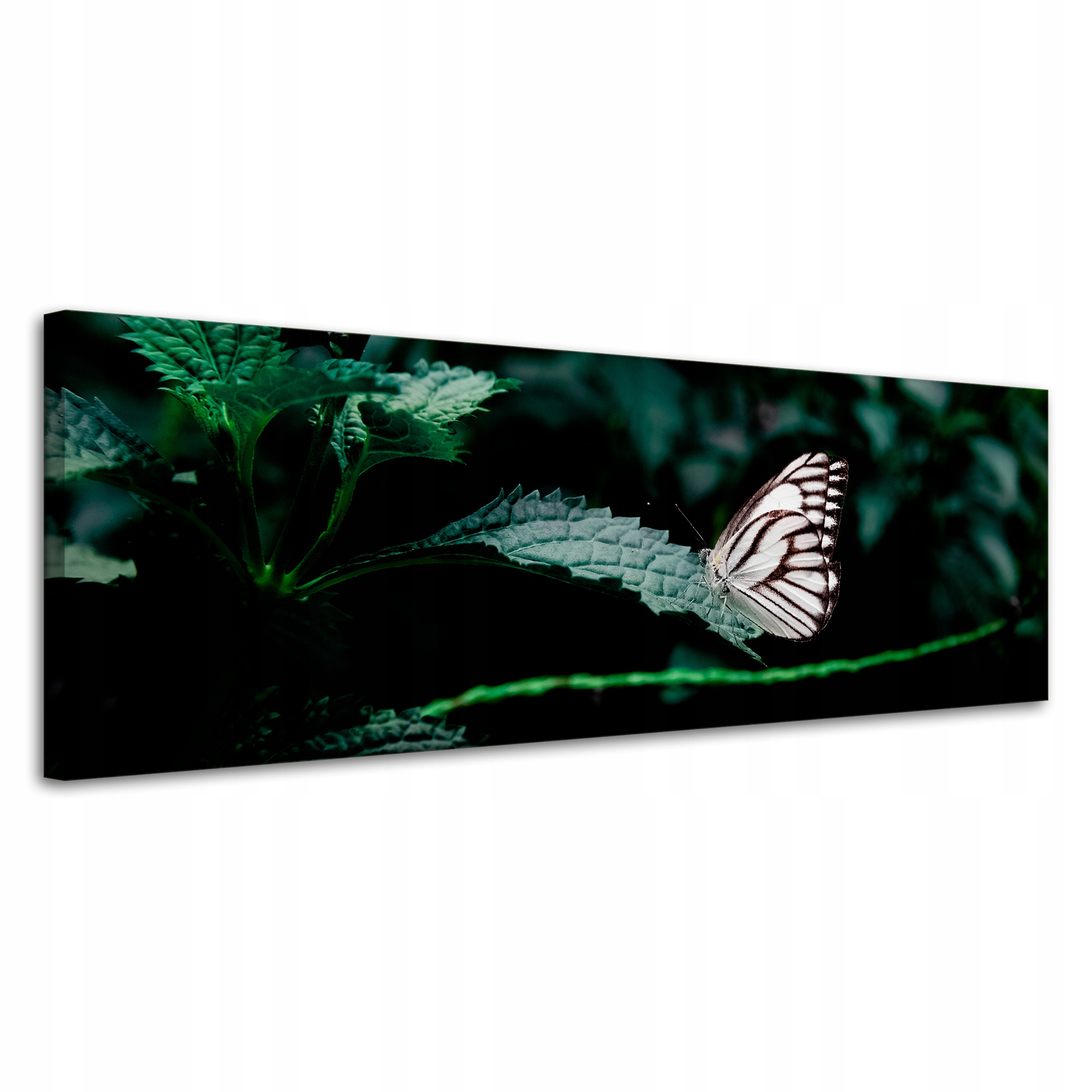 Obraz Canvas Příroda Motýlek na listu 120x40 cm