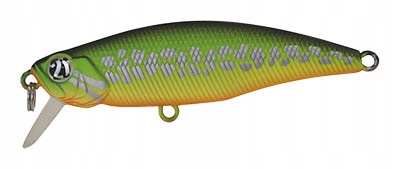 PONTOON21 Preference Shad 55SP-SR A70