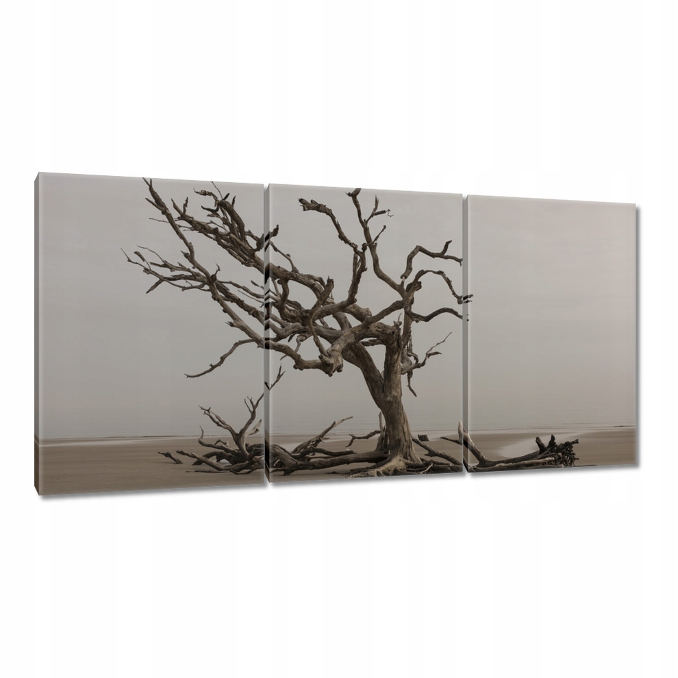 

Obrazy 120x60 Drzewo Drzewa Widok