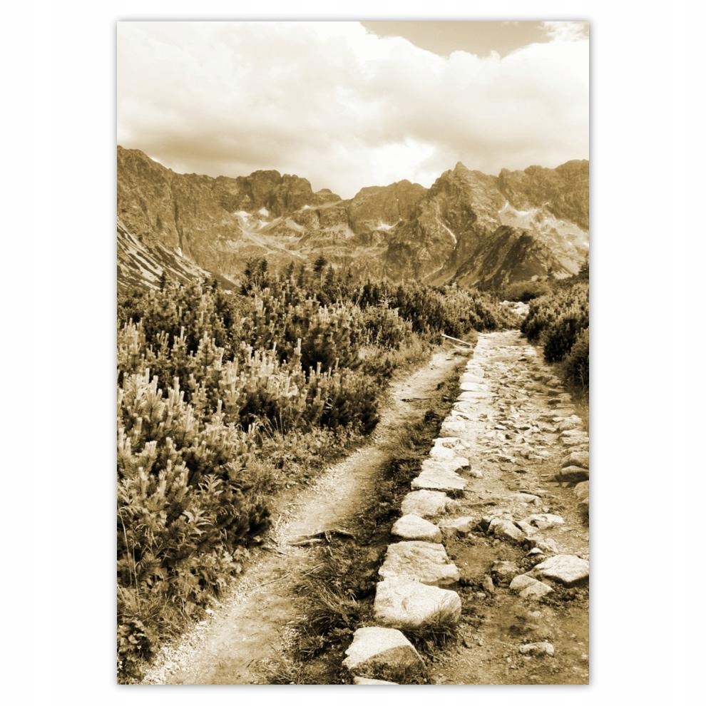

Naklejki 50x70 Tatry Polskie góry Widok
