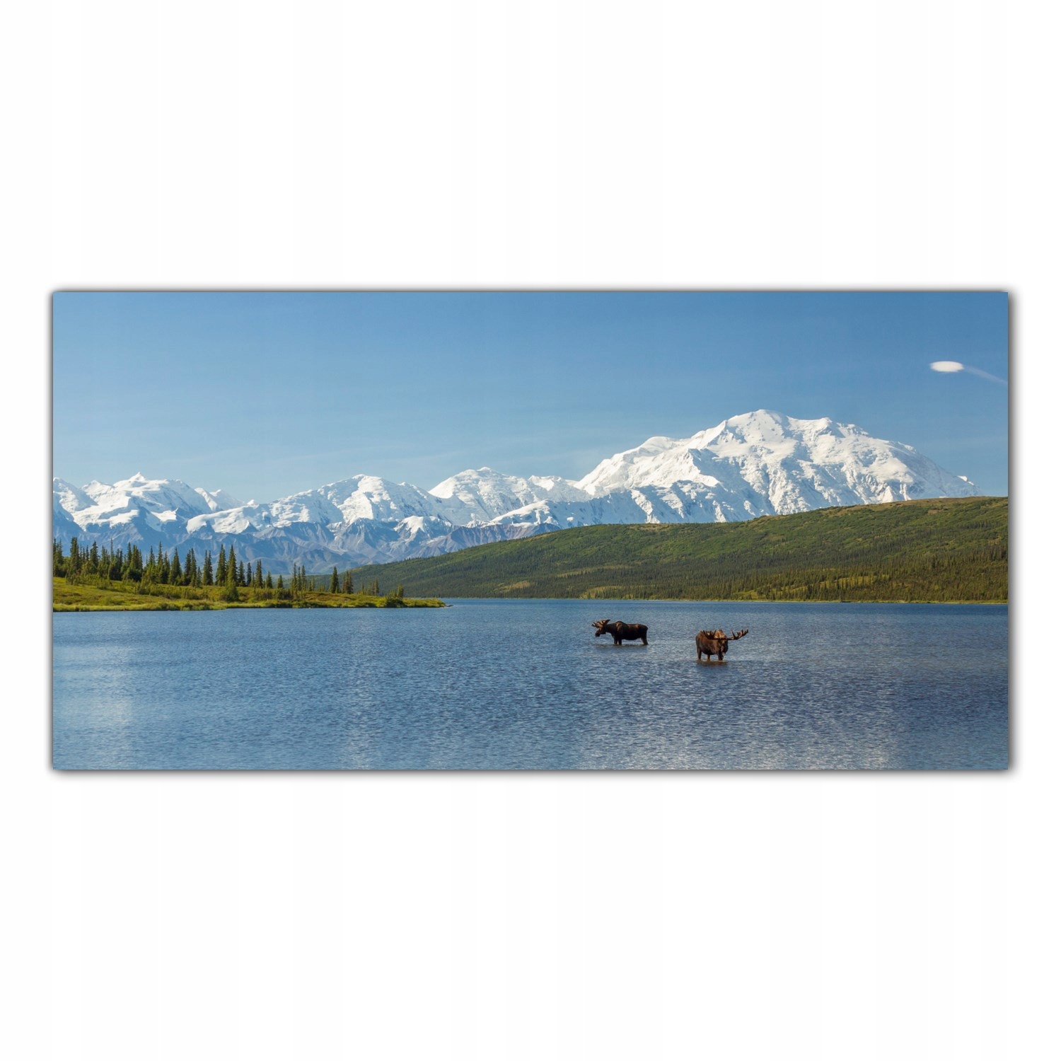 

Obraz na szkle Foto Jezioro Łosie Alaska 140x70