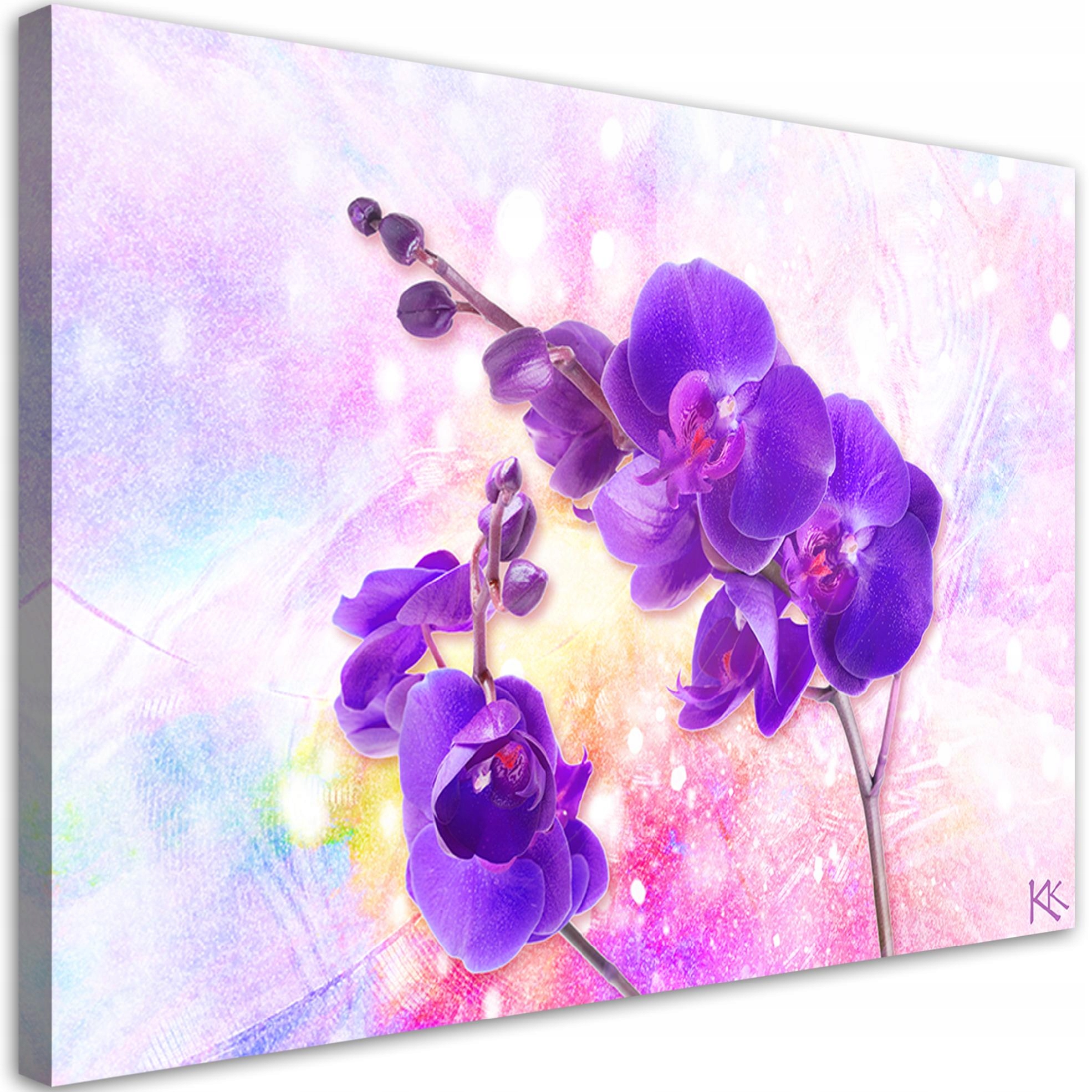 Obraz na plátně, Fialový květ orchideje 90x60