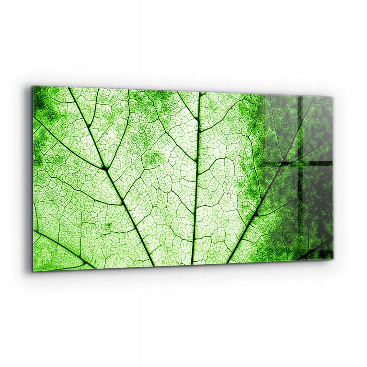 Nástenný panel Textúra zeleného listu 120x60 cm