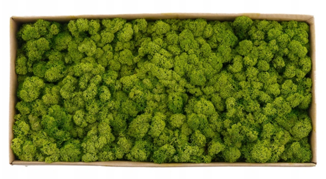 MECH CHROBOTEK RENIFEROWY JASNOZIELONY OZDOBNY 100g FIŃSKI DO STROIKÓW Marka inna