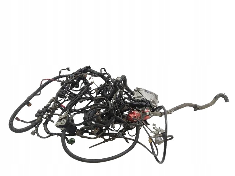 wiring LPG 6 CYL KOMPLET control unit REDUKTOR bundle LOVATO EASY FAST