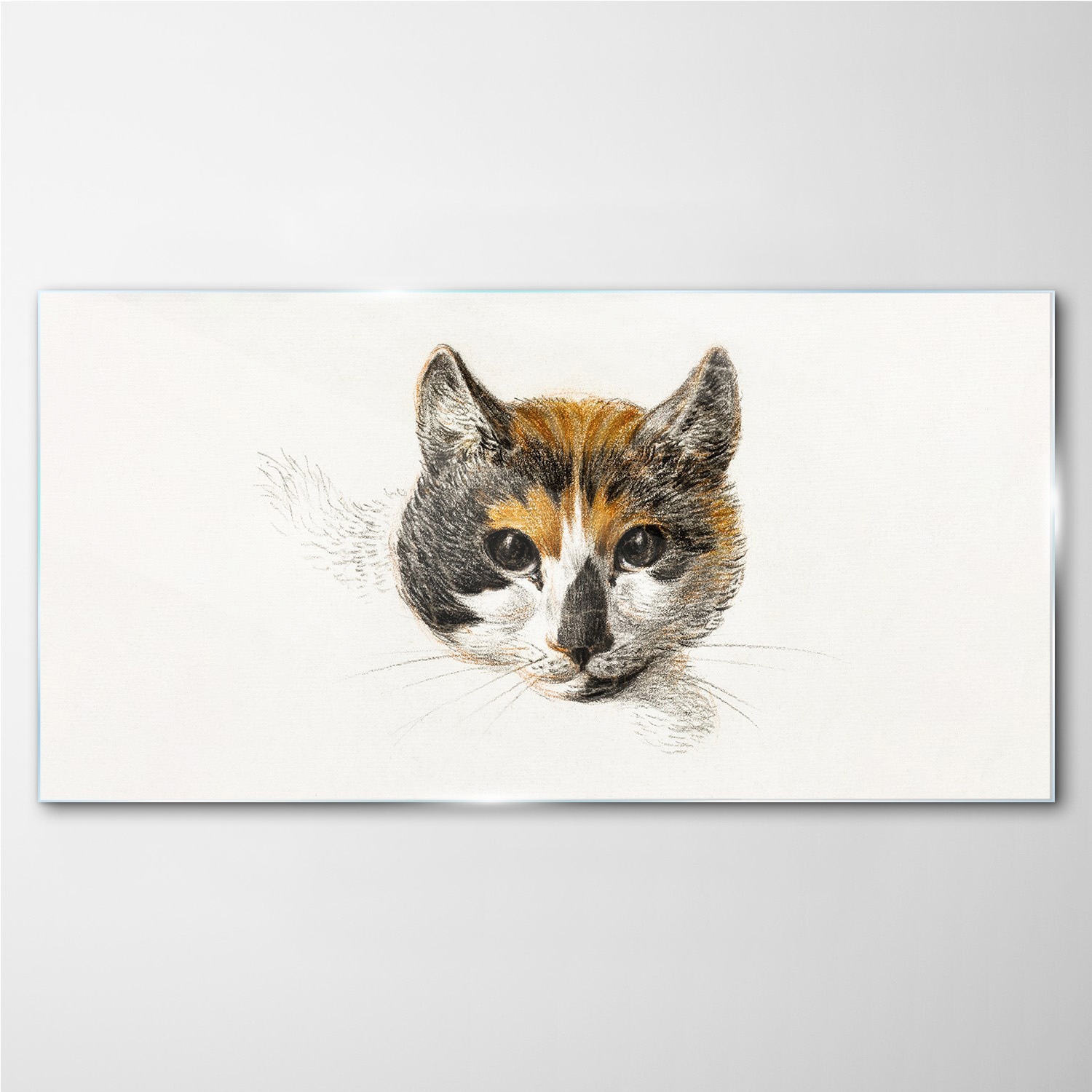 

Foto obraz szklany na ścianę Zwierzę kot 140x70 cm