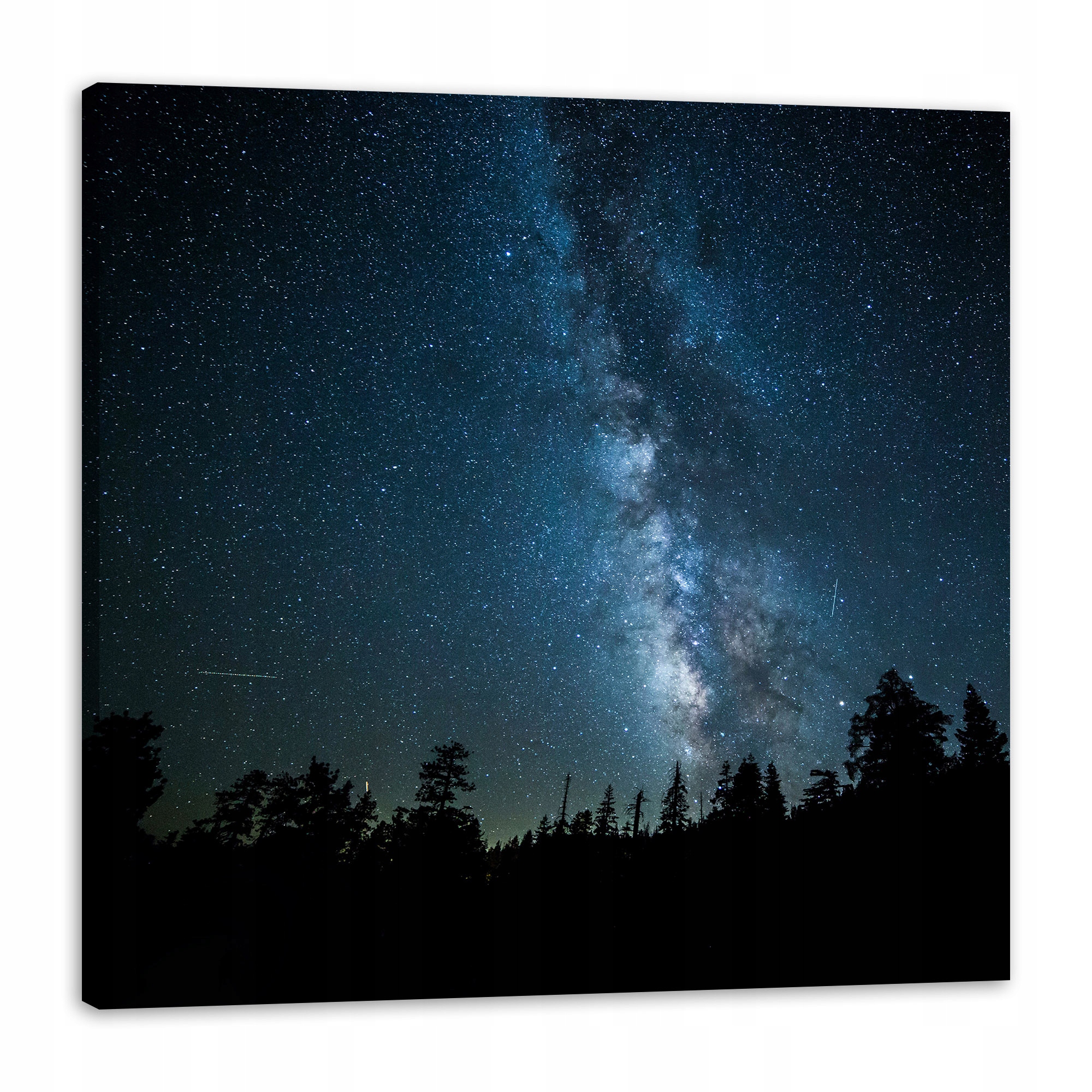Obraz na plátně Vesmír Noc Les Mlhovina Příroda Astronomie 90x90
