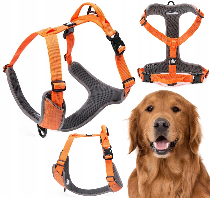 Reflexní Postroj Pro Psa Guard Easy Walk Truelove Lumen Oranžový L