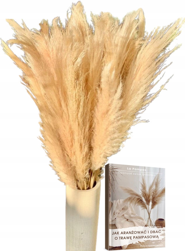 

Naturalna Trawa Pampasowa do Wazonu Suszki 150 cm