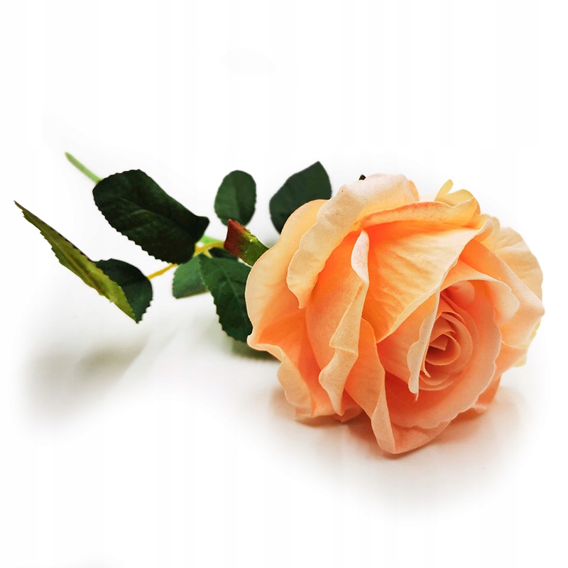 

Róża Róże Piękna Długa Gałązka welwetowa Kwiaty