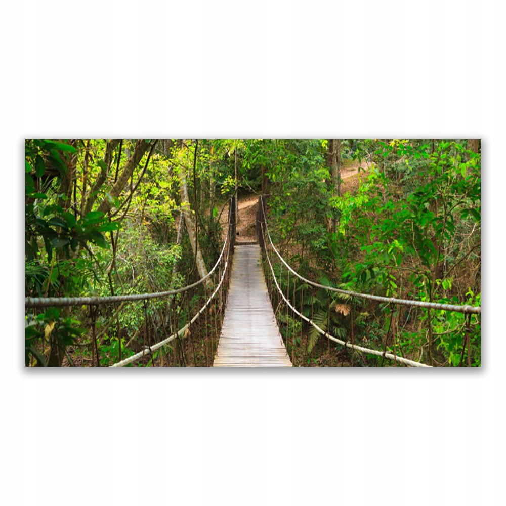 

Obraz akrylowy 120x60 Most Dżungla Las Tropikalny
