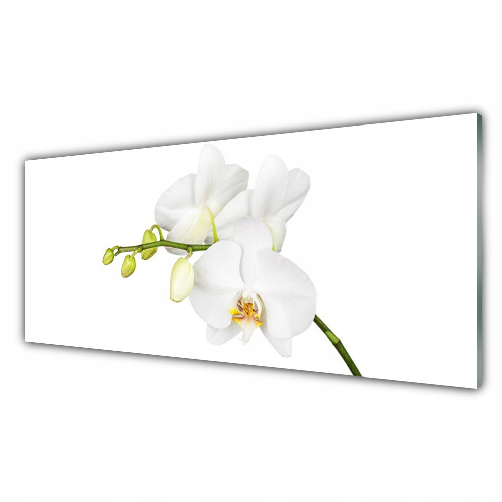 

Obraz akryl ścienny 125x50 Orchidea Kwiaty Natura