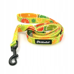 Levně Vodítko pro psa Limonáda Psiakrew 160 cm