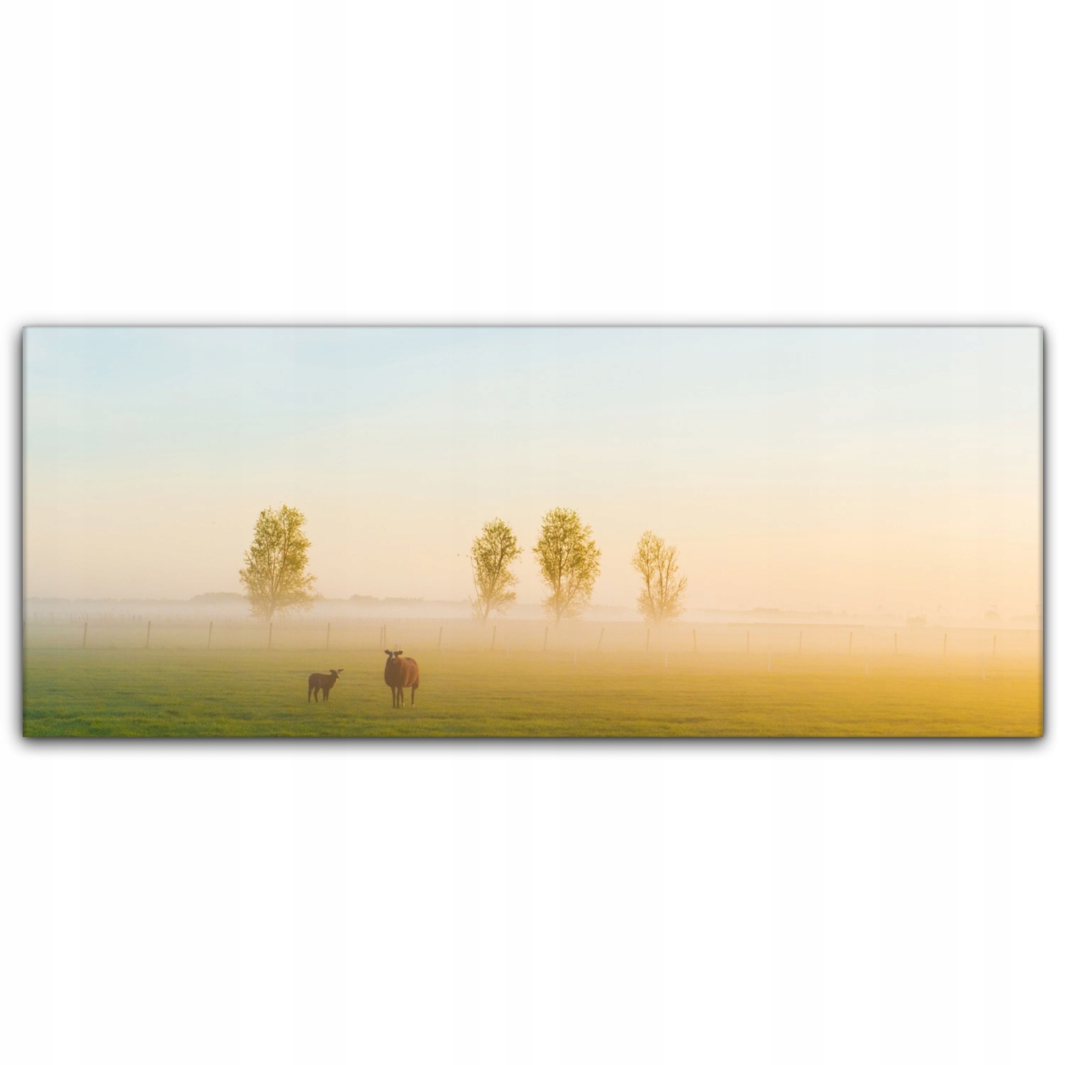 

Canvas płótno do sypialni 125x50 Owca Pole Zwierzę