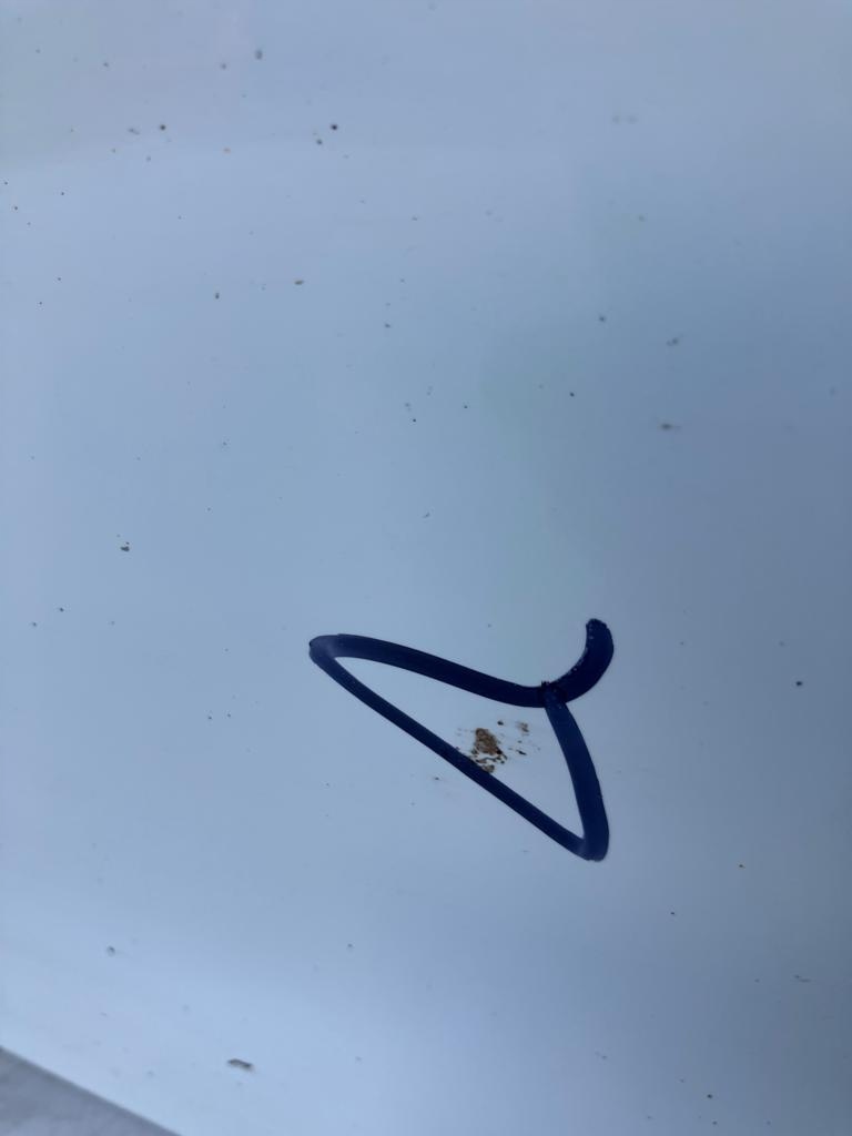 door left front RENAULT ZOE DV369