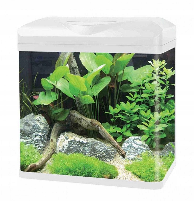 

Invital EasyTank Pro Led 65 l z filtracją, biały